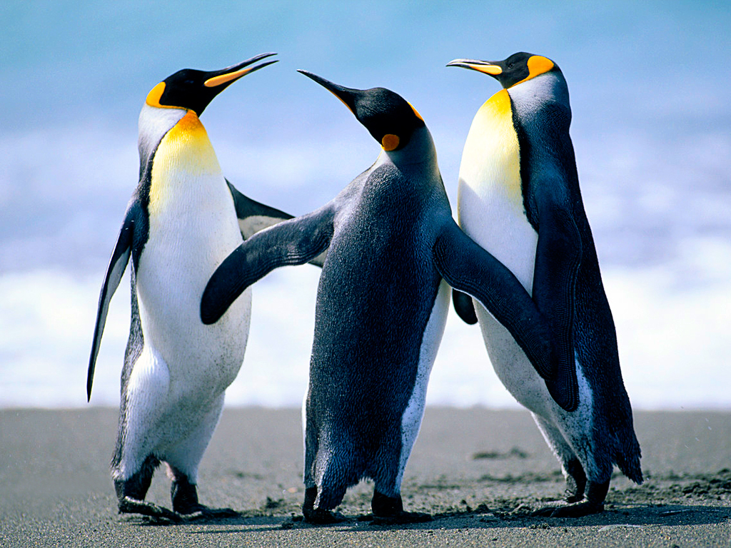 send your product/message over 19.500+ followers in 5 minuts!