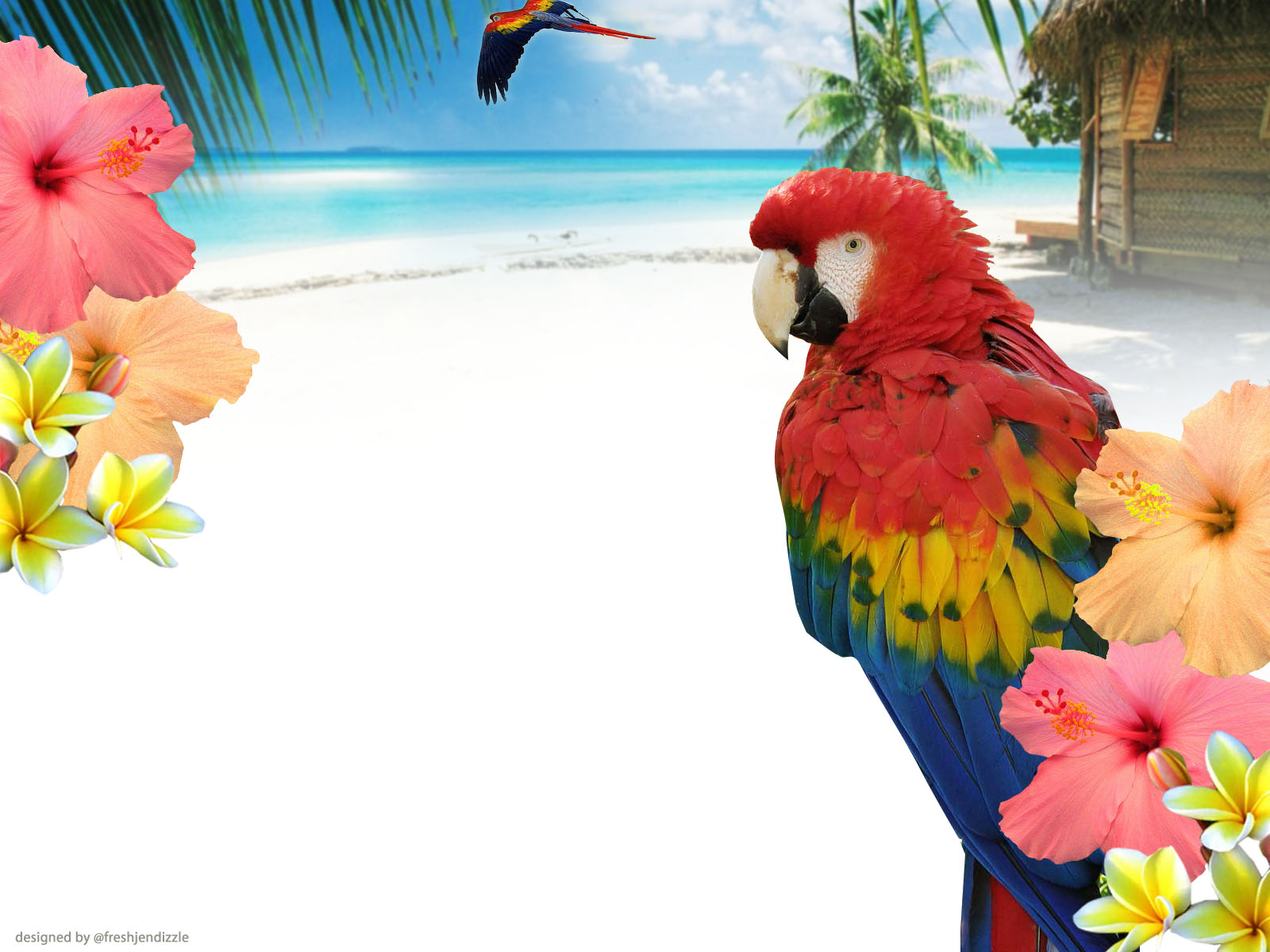 provide 6000 real twitter follower no password required within 15 hour