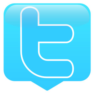 provide 15000+ real looking  twitter follower with out needing password with less than 15 hours