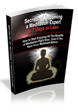 give you 81 Paid Traffic Sources (PLR)