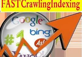 add 100+ High QUALITY Google PLuS +1 Vote to Any Website Webpage or Blog which will Boost Google Ranking 100 Percent PENGUiN Friendly