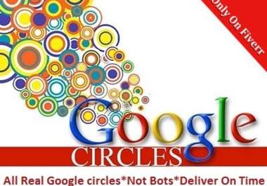 give you 320+ Circles Google+ Plus , SEO rocket up your high rank on google search engine 