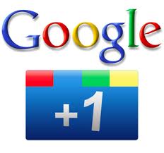 give you 600 google plus likes for 