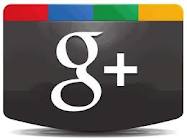 give you 30 google plus on your website