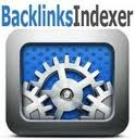 Professional Mass Backlinks Indexing Tool 