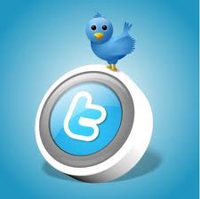 add 20000+ Twitters Followerz to your Twitters account to increase your followersz count without the need of your Twitters password