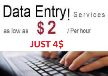 do any data entry work 2 hours for