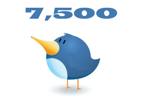 give you 7.500 Real Followers on your twitter without needing password!