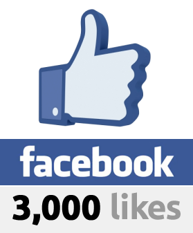 provide you 100% 3000 Guaranteed Real Working Facebook Likes within 48 hours
