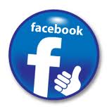 give you 600 facebook likes in 24 hrs just 