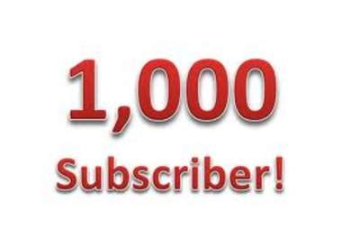 add you 1000+ Real YouTube Subscribers without admin access for 