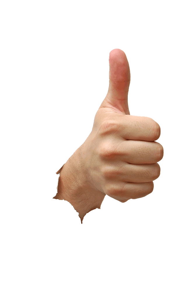 backlink your site with Social Network, Bookmarking, High PR Web 2.0 and Forum profiles for total google domination