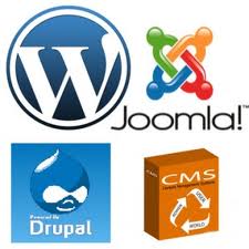 setup website on any CMS