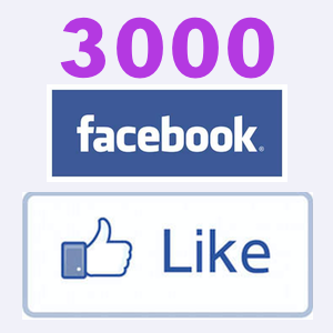 3000+ High Quality Facebook Likes, Fans to your Page in less than 24 hrs