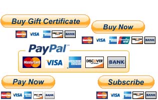 create Encrypt Code PayPal Button on Your Website
