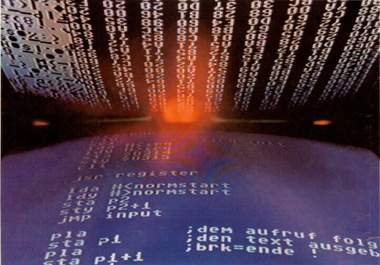 help you with php, html, seo or any website related issues