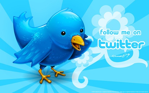send 22,222 twitter follower on your profile maximum followers have pictures, bio and english without needing admin access 