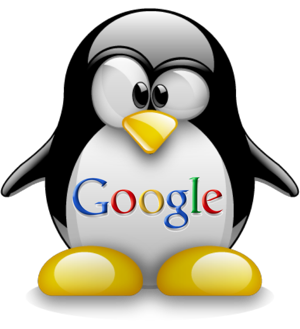  6 months your seo consultant