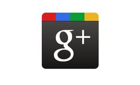 provide 200 google +1 to your site