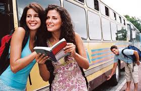 give you travel blogroll link (year)