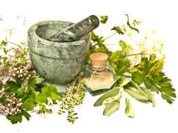 Alternative medicine in food- Shallots