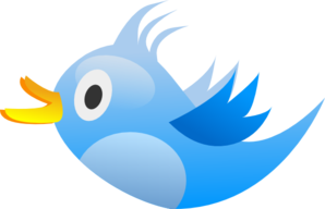 tweet your message to my twitter with 20,000+ followers which also gets displayed on my blog and forum THREE times