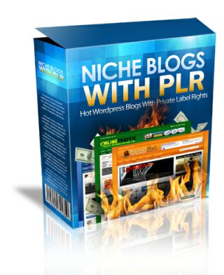 give you NICHE BLOGS with PLR - Hot Wordpress Blogs