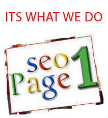 bring your site on page 1 with 2000+ contextual backlinks from 7 of the best article submission networks