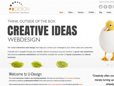 offer you U-Design wordpress theme with updates