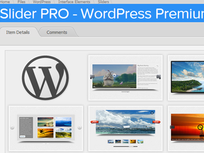 offer you Slider PRO - WordPress Premium Slider Plugin