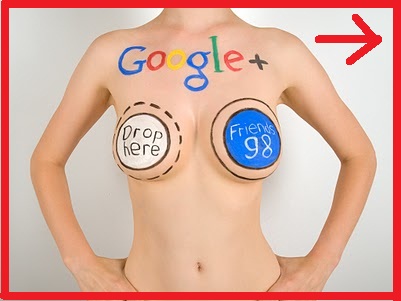 Give You 100+ Real Google Plus CIRCLES (Followers) to your page(No Bots)