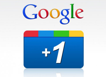provide 150+ google +1 to your site only