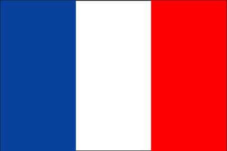 translate a 200 words article from English to french