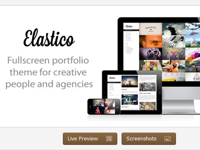 Offer you Elastico Fullscreen Portfolio WP Theme