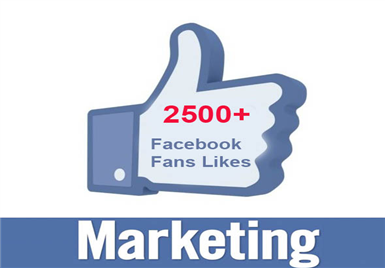 give you 100% verified 2500 Facebook Fan Page LIKE