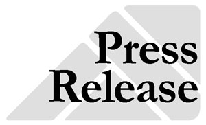 Publish An Article On A Press Release Website For You