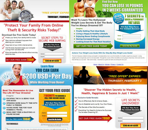 give you 10 Complete Squeeze Pages - Email Letters and Everything you need to start a campaign- 10 Different Niches 