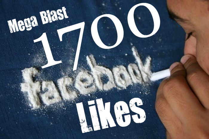Give You 1700 VERIFIED Facebook Like Guaranteed Safe To Any Webpage, Photo, Post, Video,Fan Page in less then 24hr