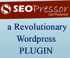 give you the wordpress SEO pressor plug in