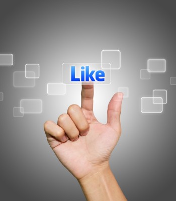 give  you 40 facebook likes all are real given by human