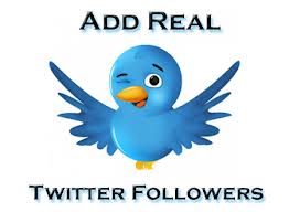 provide 32,000 REAL Human Twitter FOLLOWERS For Your Twitter Account In 24 Hours Without Your Password