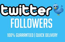add more then 35000 Real Looking Twitter Followers no Bots all Followers with pics just