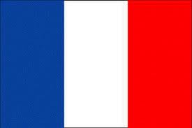 write a professional SEO optimized 500 words french article on any topic