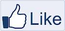 give you 900 FACEBOOK likes fans to any page in less then 48 hours