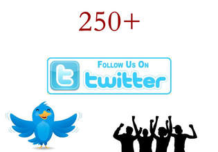 give you verified 250 twitter followers