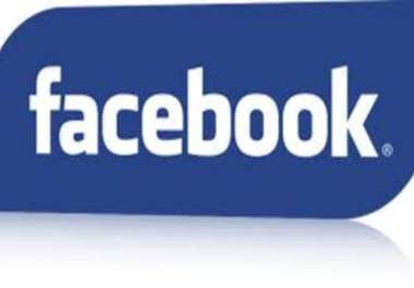 add 1000 likes to any comments on facebook, up to 5 different post 