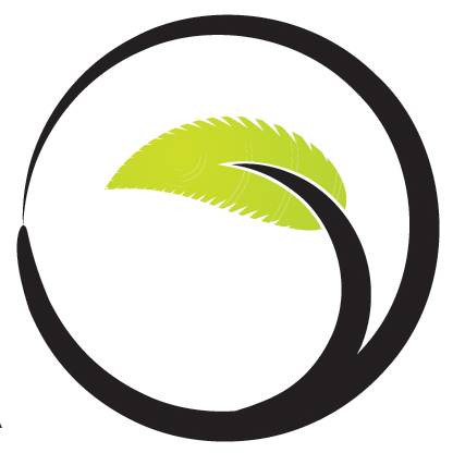 Design Professional Website what you want 