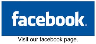 give you 300+ real fans like for face-book fan-page {100% real no bot like} only