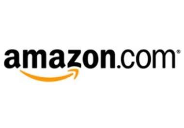 write 500 word Professional, SEO optimised, converting Amazon Review