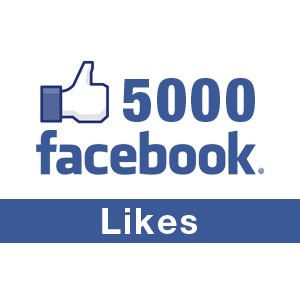 add 6000+ Real looking Facebook likes to your fan page with out admin access  